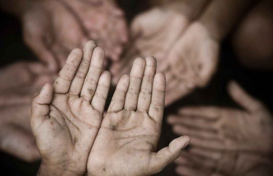 Orphans Organization2